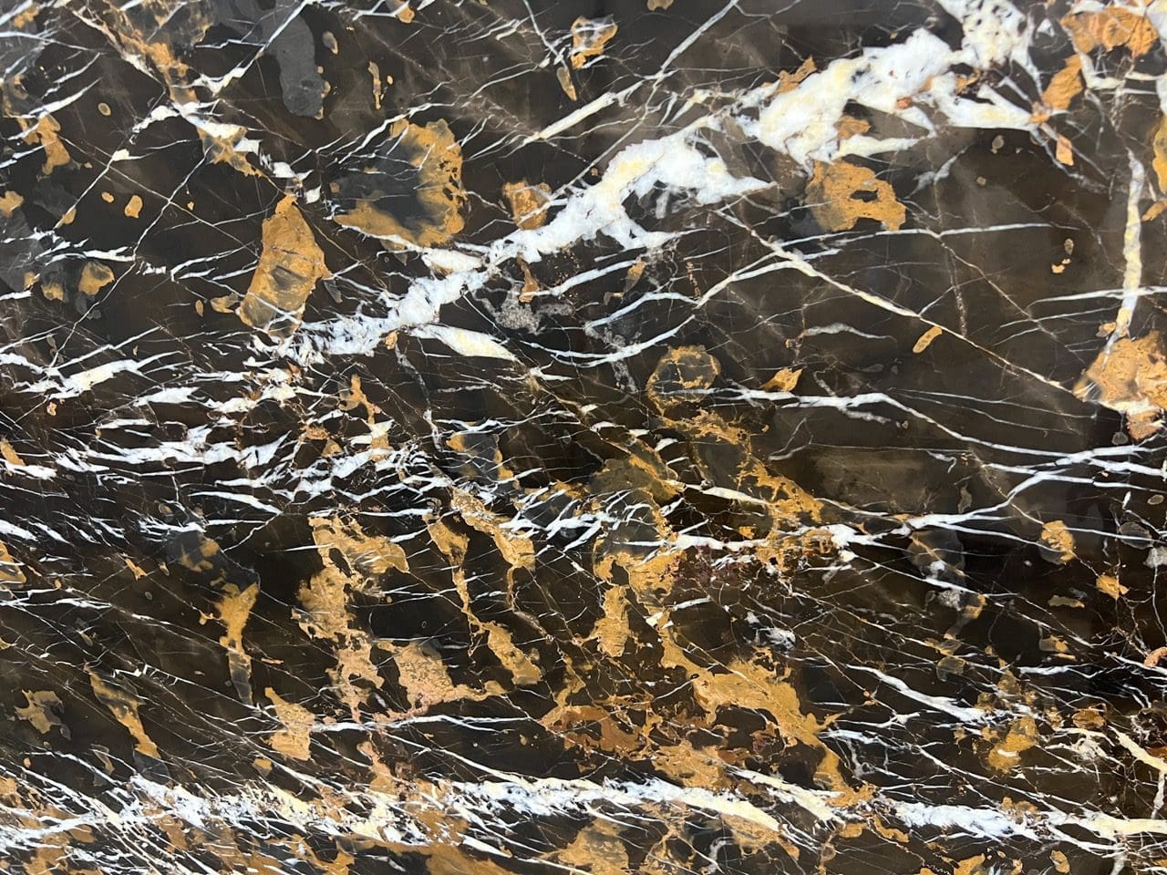 Black & Gold